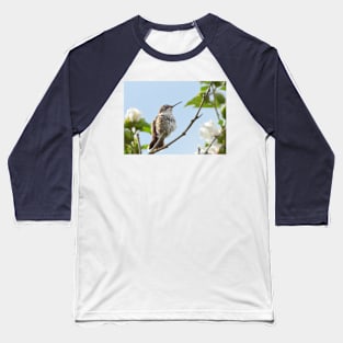 Hummer fluffing its feathers... Baseball T-Shirt